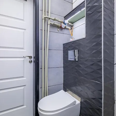 公寓 Modern , Spacious 2br In Center