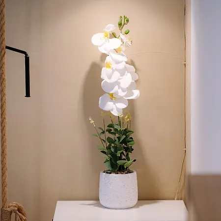 Appartamento Modern , Spacious 2br In Center Sofia